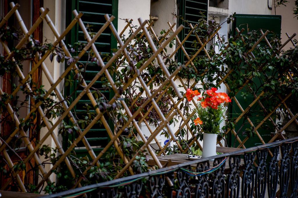 Betta 2* Florence